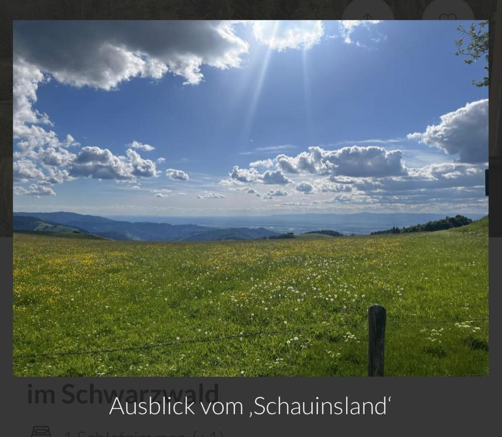 Toscana-Residenz Im Schwarzwald Utzenfeld Eksteriør bilde